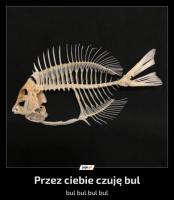 komentarz obrazkowy
