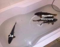 komentarz obrazkowy