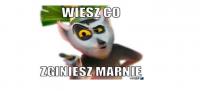 komentarz obrazkowy