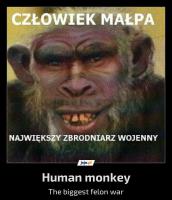 komentarz obrazkowy