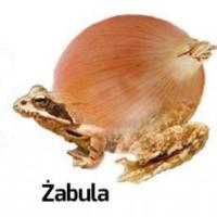 komentarz obrazkowy