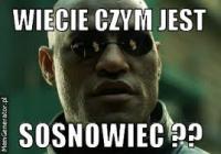 komentarz obrazkowy