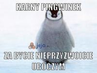 komentarz obrazkowy