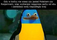 komentarz obrazkowy