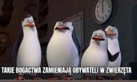 komentarz obrazkowy