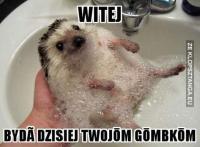 komentarz obrazkowy