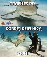 komentarz obrazkowy