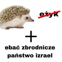 komentarz obrazkowy