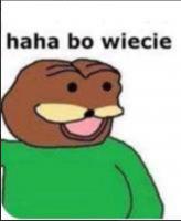 komentarz obrazkowy
