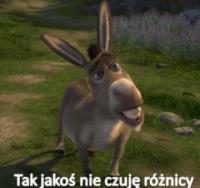 komentarz obrazkowy