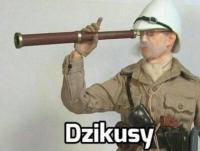 komentarz obrazkowy
