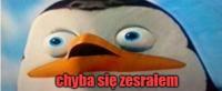 komentarz obrazkowy