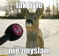 komentarz obrazkowy