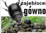 komentarz obrazkowy