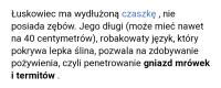 komentarz obrazkowy