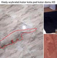 komentarz obrazkowy