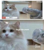 komentarz obrazkowy