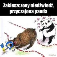 komentarz obrazkowy