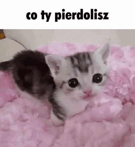 komentarz obrazkowy
