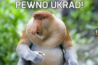 komentarz obrazkowy