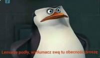 komentarz obrazkowy