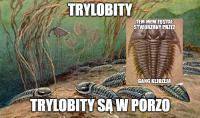 komentarz obrazkowy