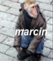 komentarz obrazkowy