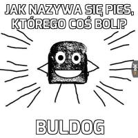 komentarz obrazkowy