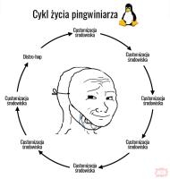 komentarz obrazkowy