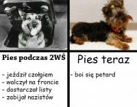 komentarz obrazkowy