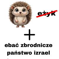 komentarz obrazkowy