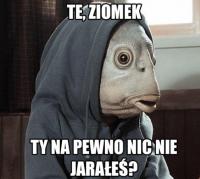 komentarz obrazkowy