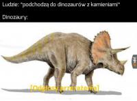 komentarz obrazkowy