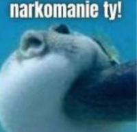 komentarz obrazkowy