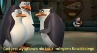 komentarz obrazkowy