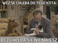 komentarz obrazkowy