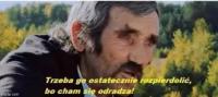 komentarz obrazkowy
