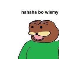 komentarz obrazkowy