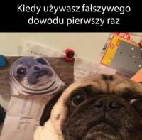komentarz obrazkowy