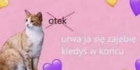 komentarz obrazkowy