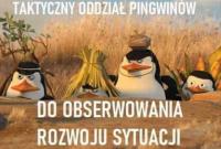 komentarz obrazkowy