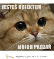komentarz obrazkowy