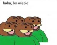 komentarz obrazkowy