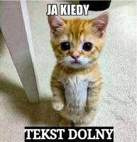 komentarz obrazkowy