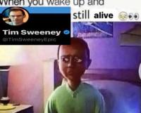 komentarz obrazkowy