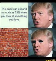 komentarz obrazkowy
