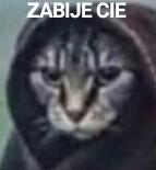 komentarz obrazkowy
