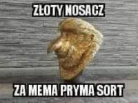 komentarz obrazkowy