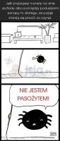 komentarz obrazkowy