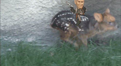 komentarz obrazkowy